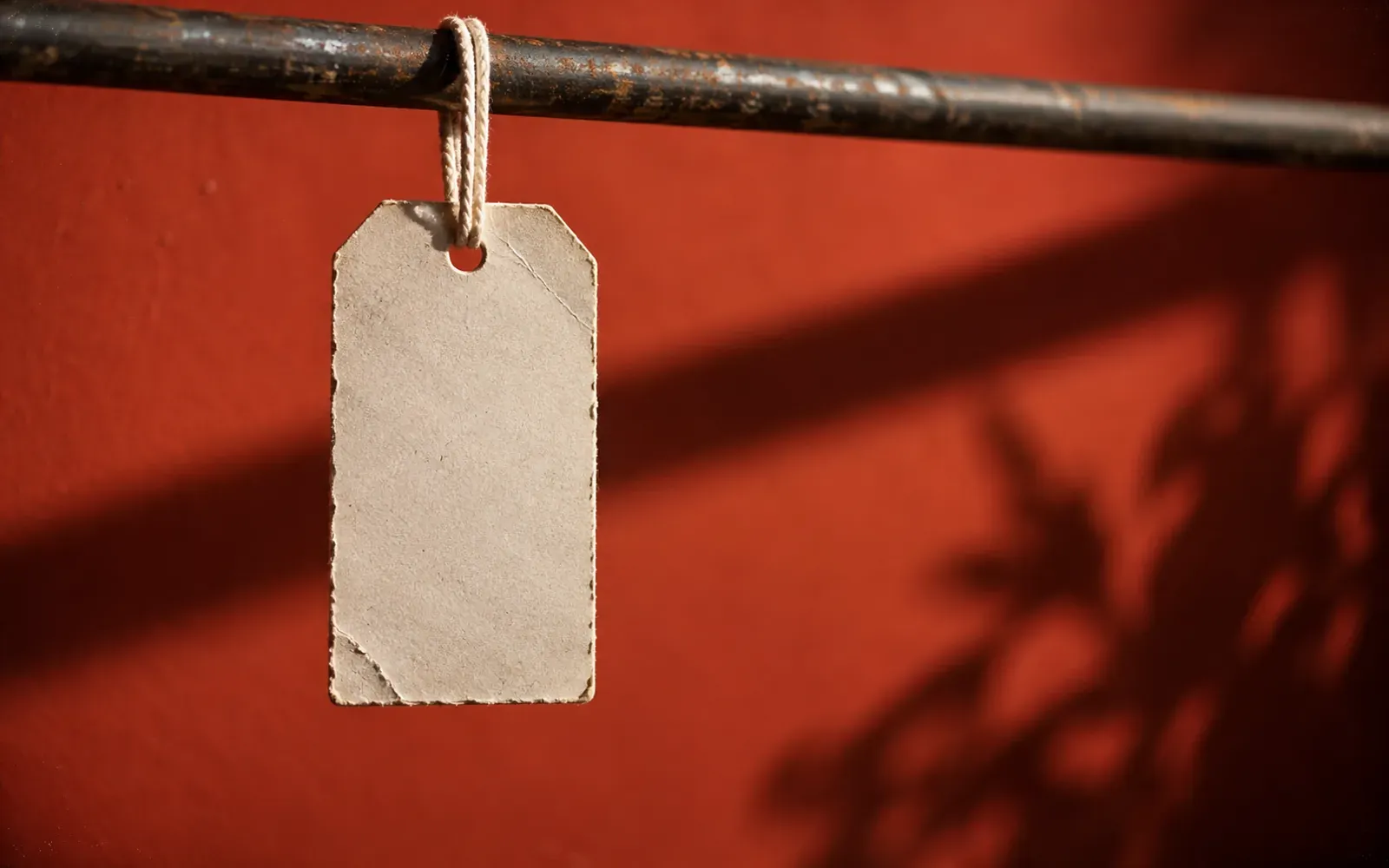 One blank swing tag turned to face the lens on its cotton loop, the deep coral wall behind it falling out of focus.